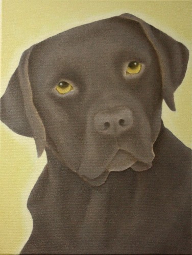 Chocolate Lab